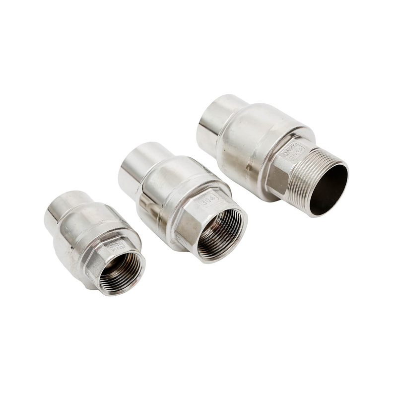 Stainless Steel Check Valve