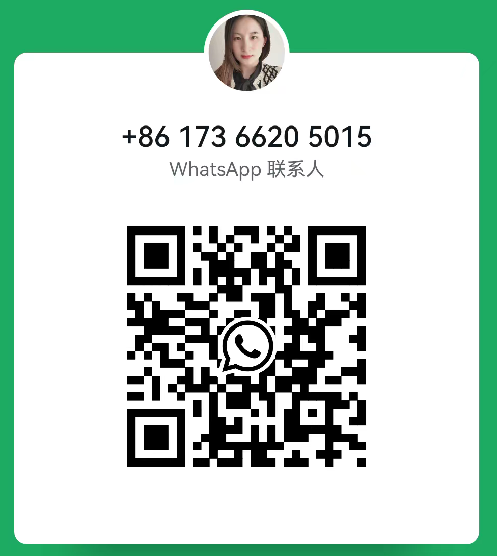 +86 173 6620 5015