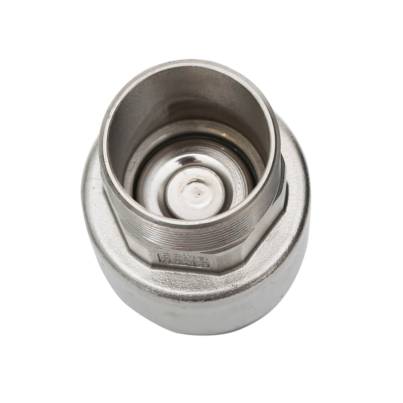 Stainless Steel Check Valve