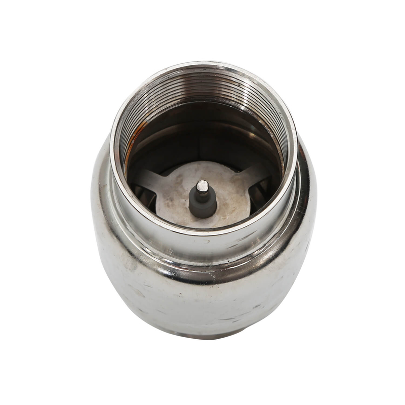 Stainless Steel Check Valve